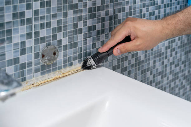 Best Same-Day Mold Removal  in Bald Kno, AR